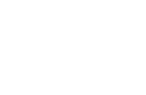 RedBull logo