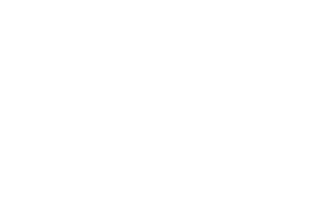 Vox logo